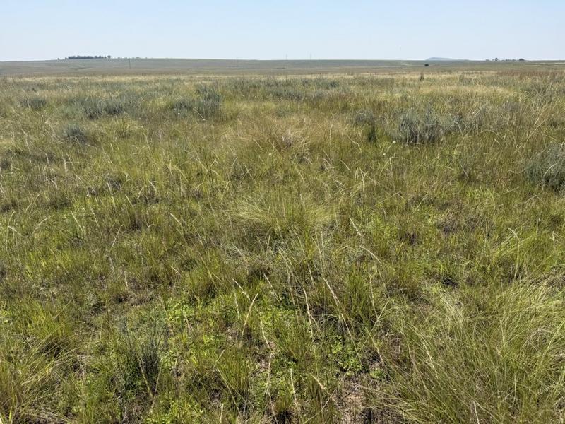 0 Bedroom Property for Sale in Bethlehem Rural Free State